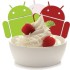 Android 2.2 Froyo - Frozen Yoghurt