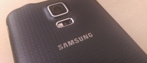 IMAG0055